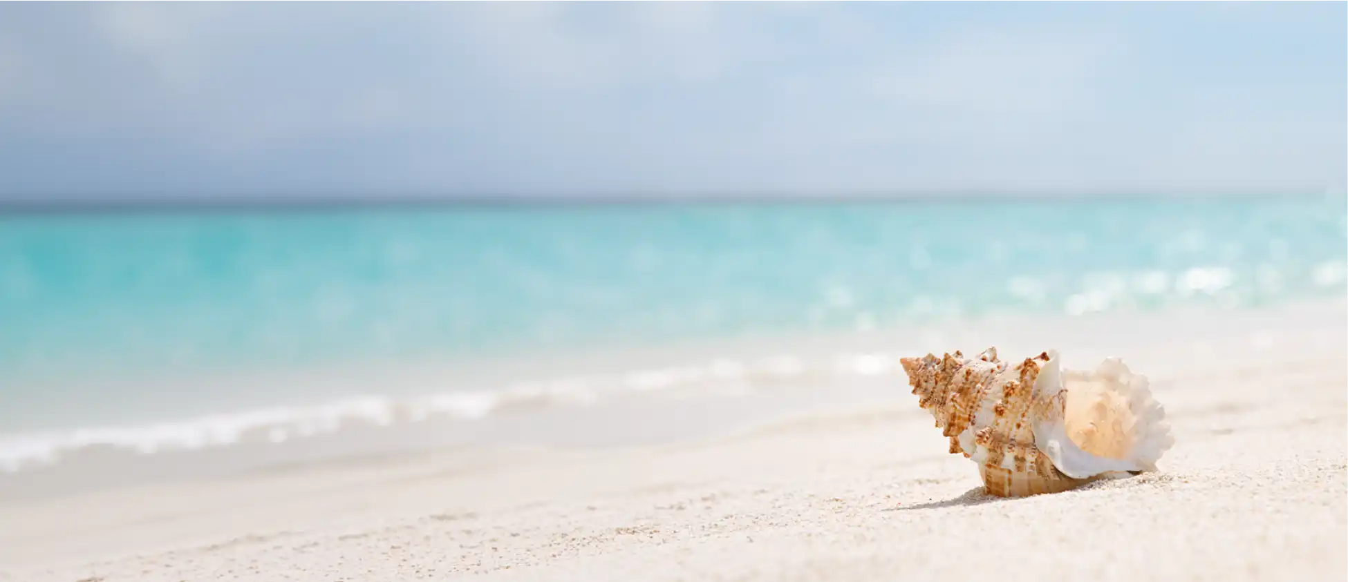 Ostrako Travel Greece Travel Agency